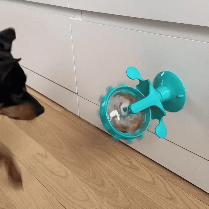 Giocattolo interattivo per Cani